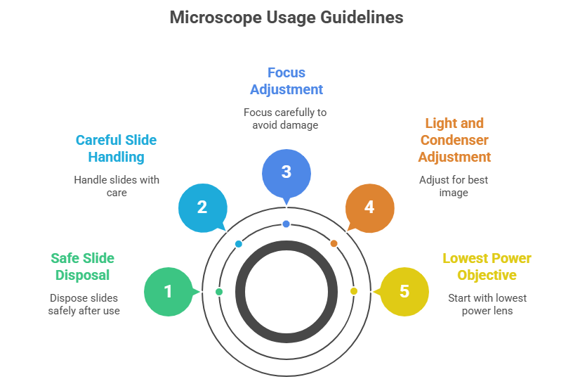 Microscope Usage Guidelines